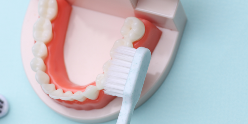 How Routine Cleanings and Dental Wellness Prevent Long-Term Health Issues