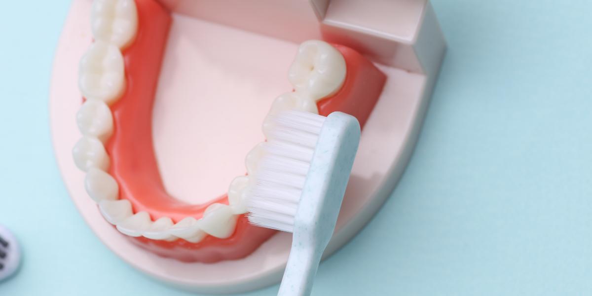 How Routine Cleanings and Dental Wellness Prevent Long-Term Health Issues