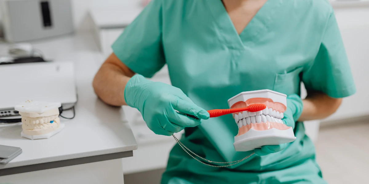 Every 6 Months vs. Once a Year_ How Often Do You Really Need a Dental Exam in Clifton